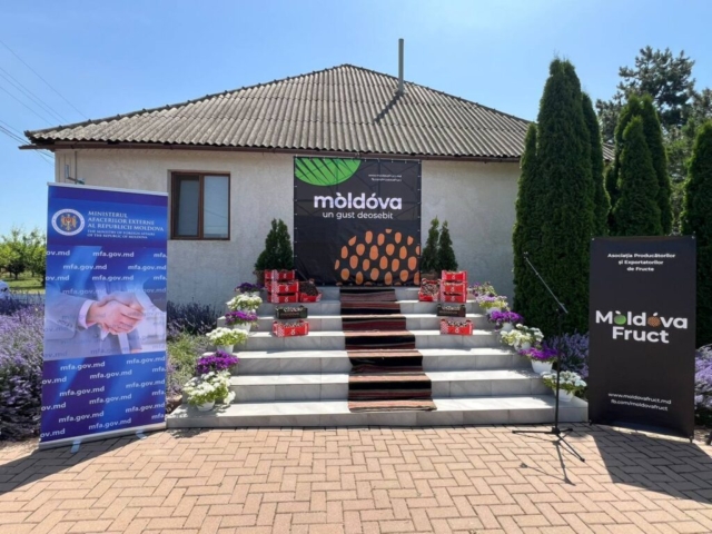 6d610c13-dd21-4c74-a1d1-29f72daac96f