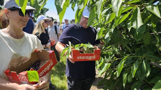 photo_5402535037339038497_y