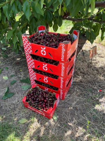 photo_5402541879221939853_y