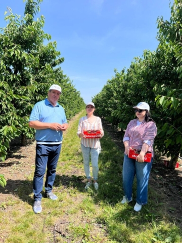 photo_5402541879221939854_y