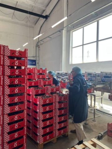 photo_5402541879221939855_y