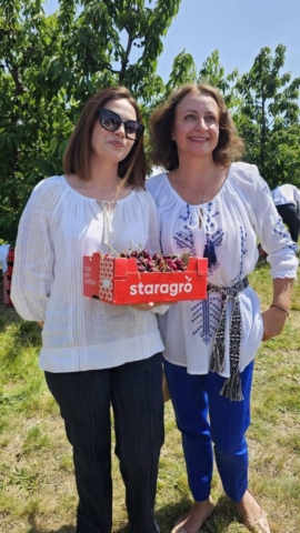 photo_5402541879221939857_y