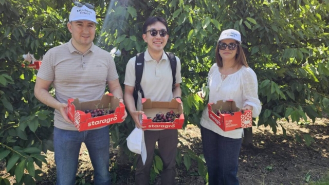 photo_5402541879221939859_y