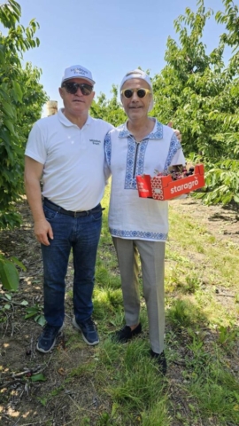 photo_5402541879221939860_y