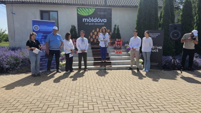 photo_5402541879221939862_y