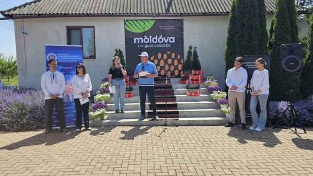 photo_5402541879221939864_y