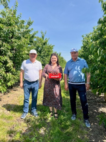 photo_5402541879221939870_y